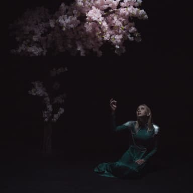 As the Light Left