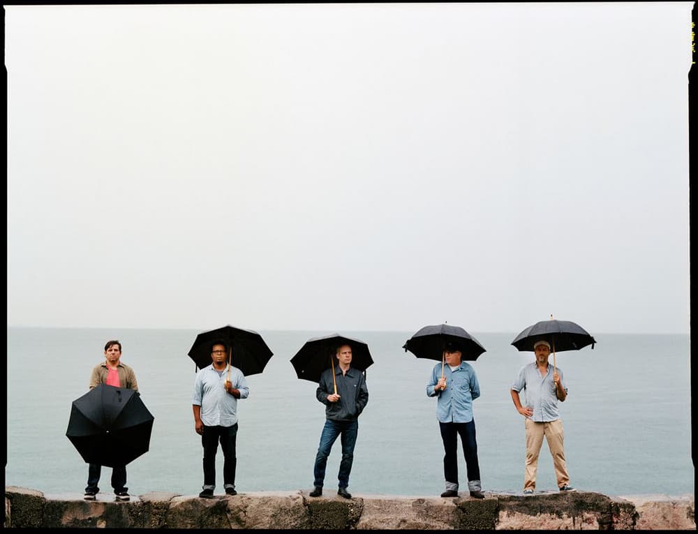 'Tortoise' Spotify profile image