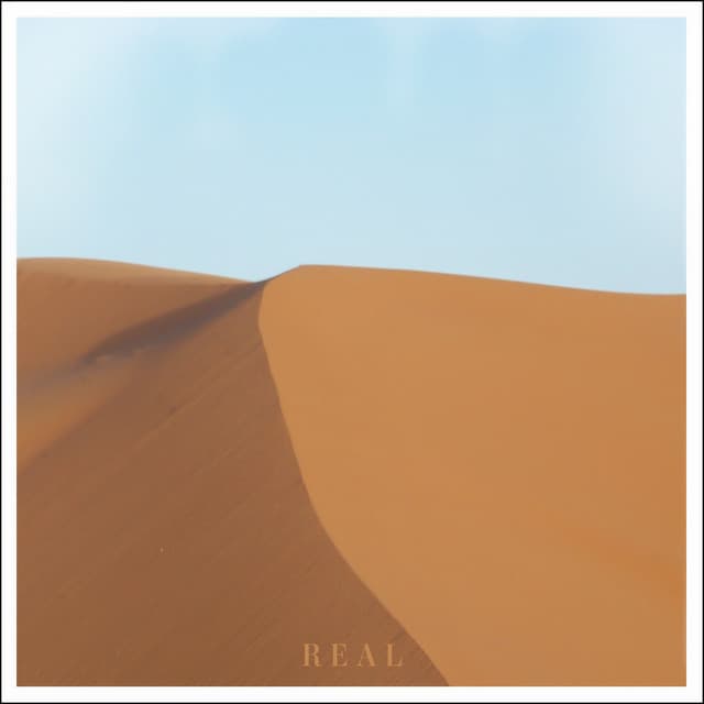 'Spirit Animal' Spotify profile image