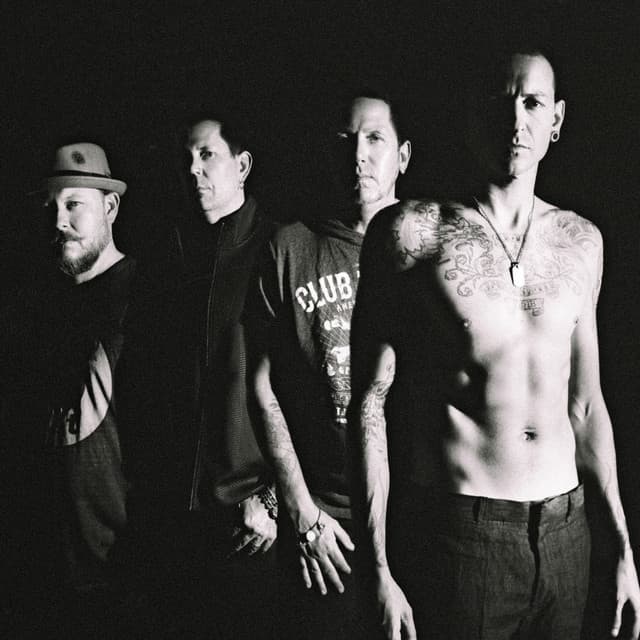 'Grey Daze' Spotify profile image