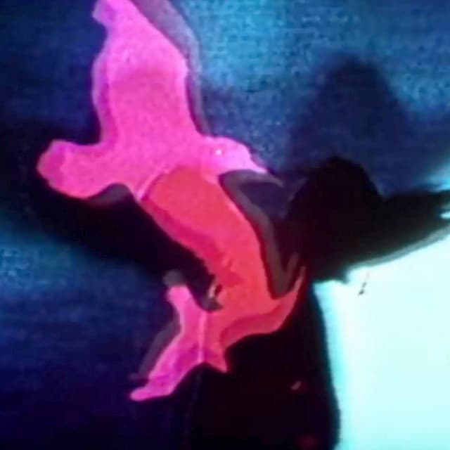 'Mācītājs On Acid' Spotify profile image