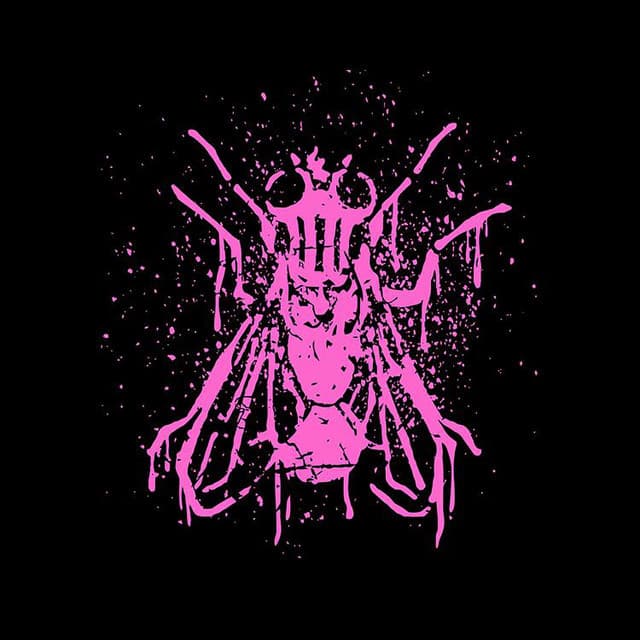 'Pink Fly' Spotify profile image