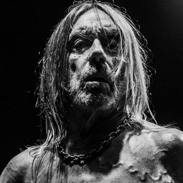 'Iggy Pop' Spotify profile image