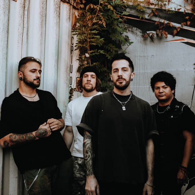 'Stray View' Spotify profile image