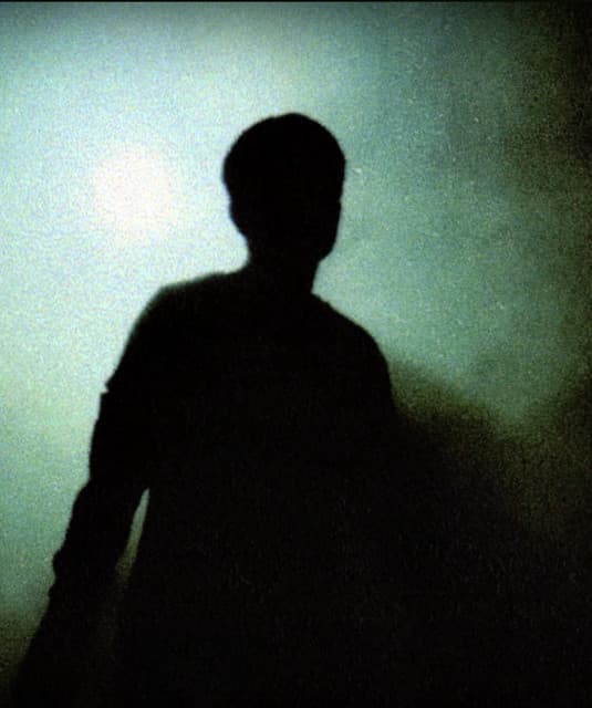 'Flawed Mangoes' Spotify profile image