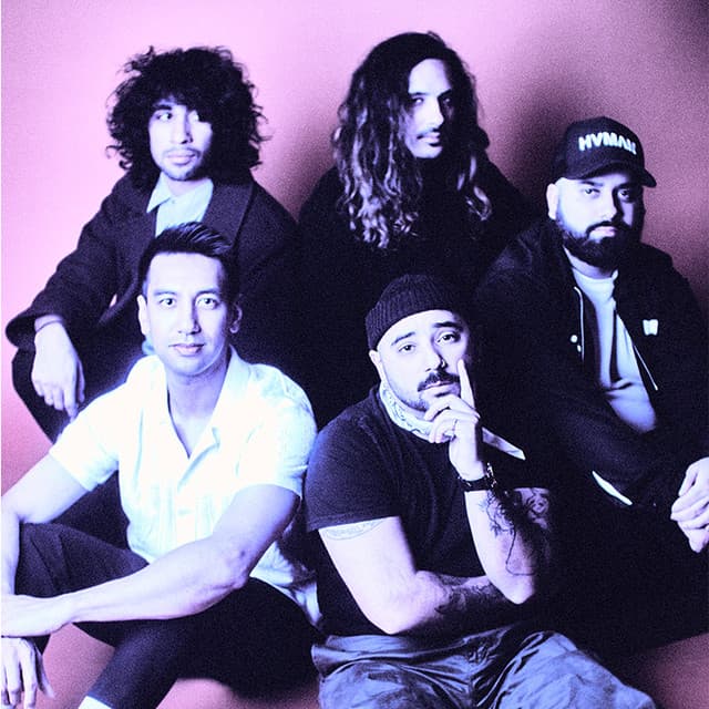 'Palisades' Spotify profile image