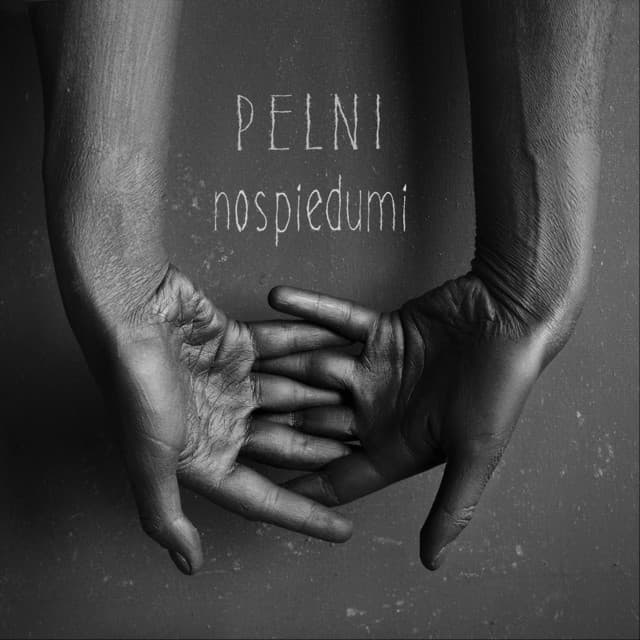 'Pelni' Spotify profile image