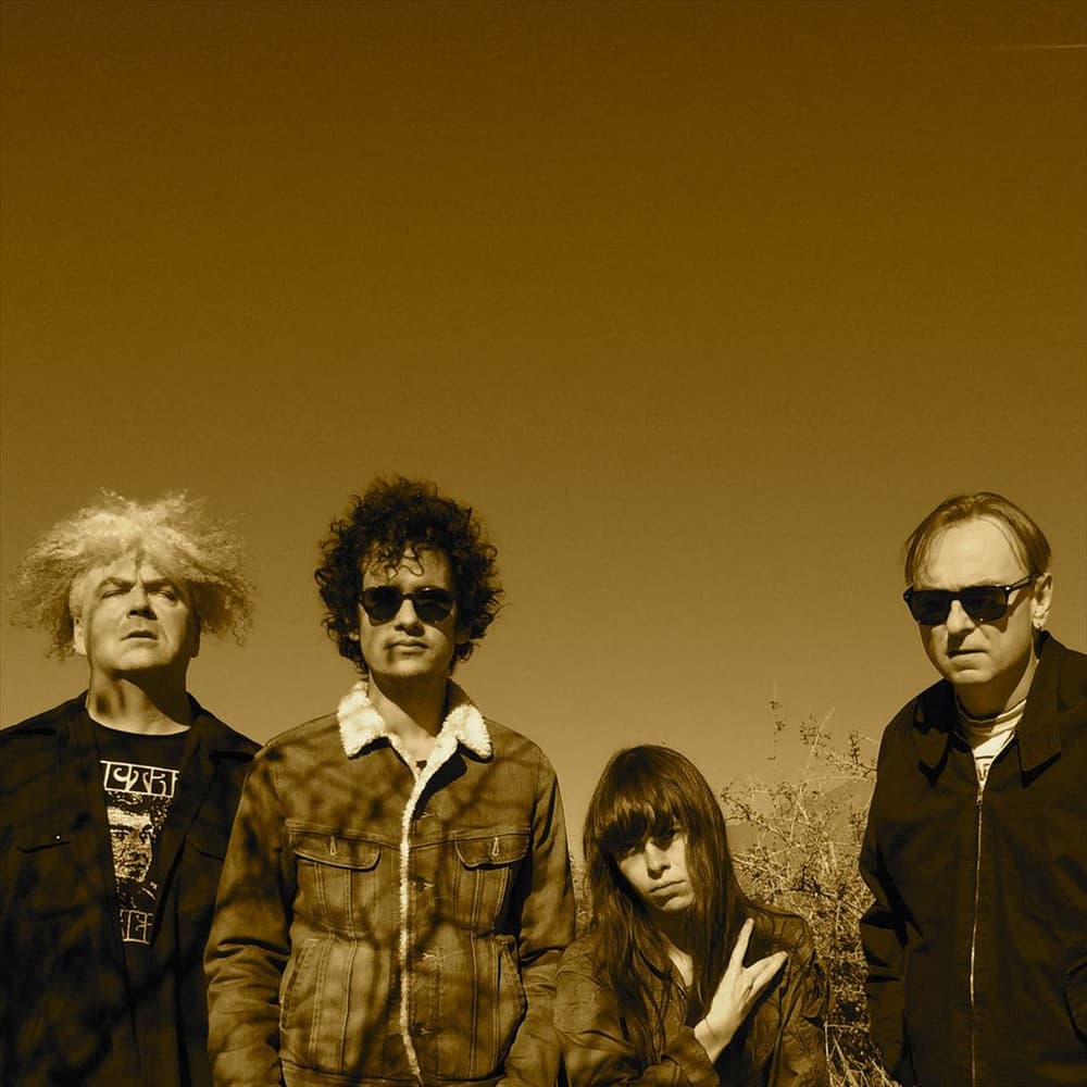 'Crystal Fairy' Spotify profile image