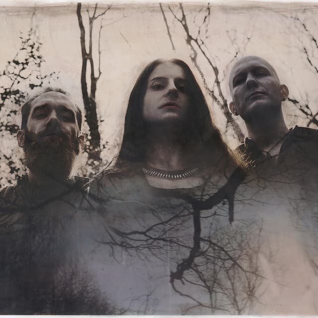 'Cellar Darling' Spotify profile image