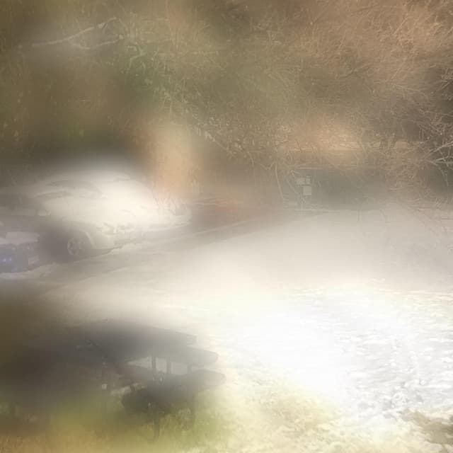 'Avast' Spotify profile image