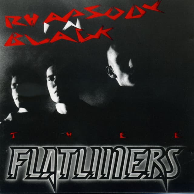 'Flatliners' Spotify profile image