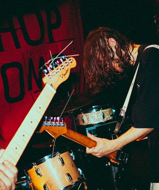 'Sex Shop Mushrooms' Spotify profile image