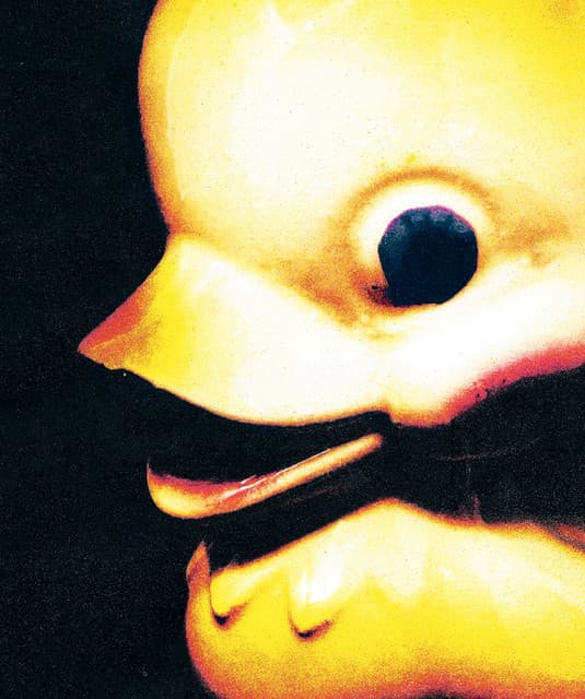 'fleshwater' Spotify profile image