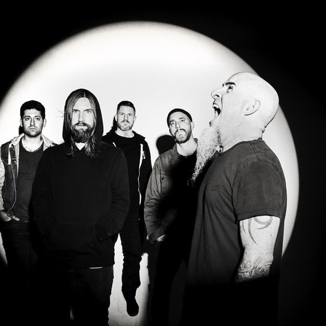 'The Damned Things' Spotify profile image