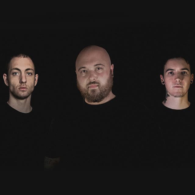 'Aenimus' Spotify profile image