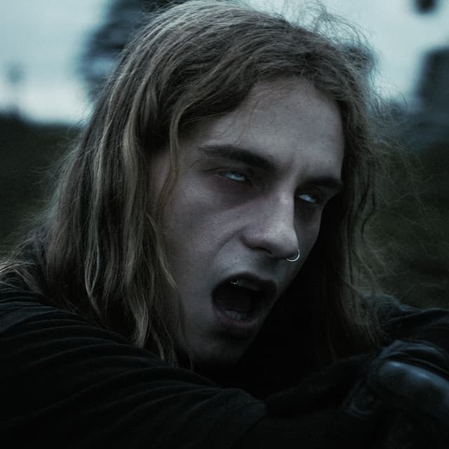 'BLAKSWAN' Spotify profile image