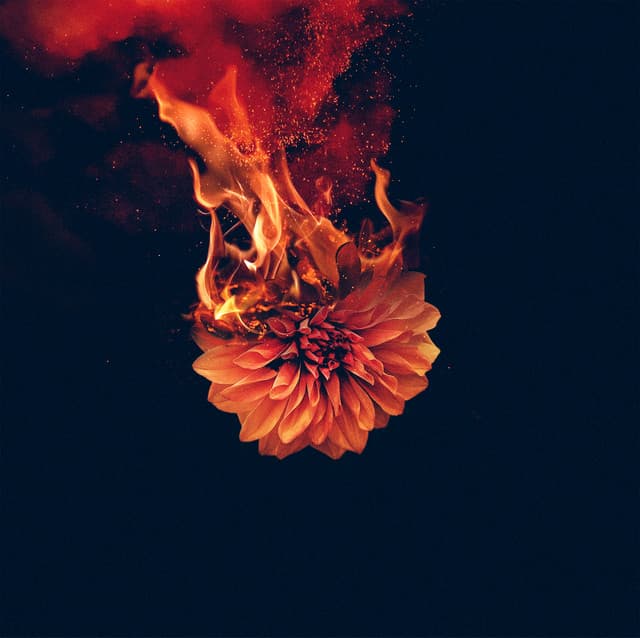 'Wolves At The Gate' Spotify profile image