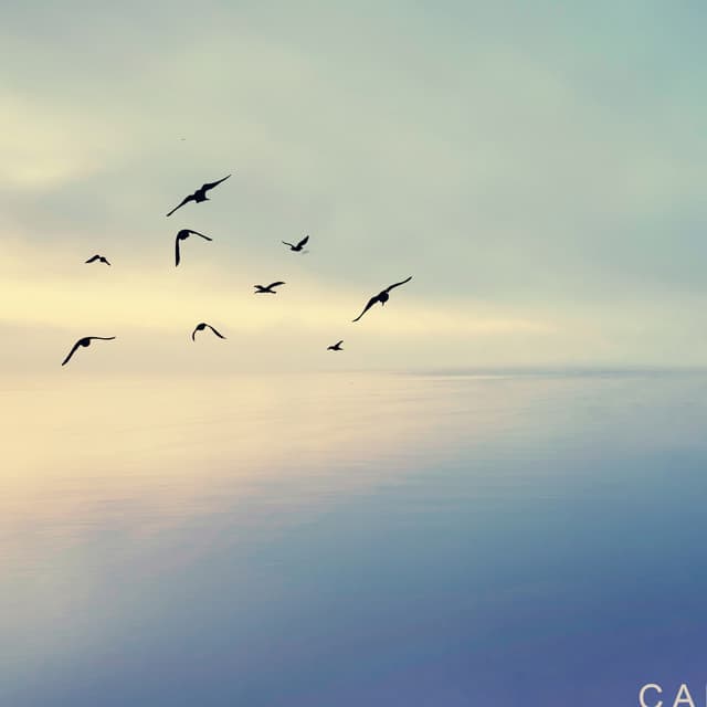 'Calm' Spotify profile image