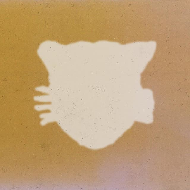 'Fever 333' Spotify profile image