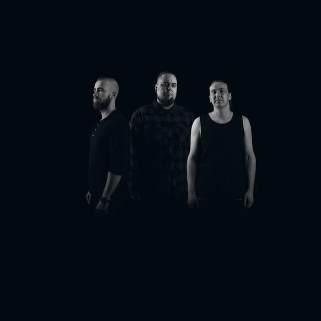 'Palehørse' Spotify profile image