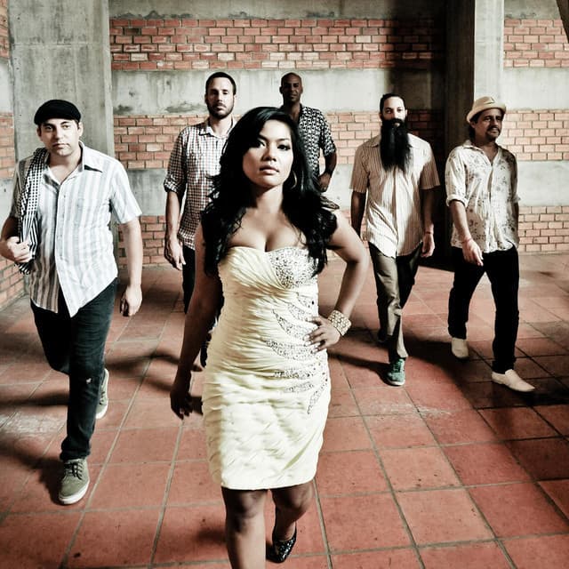 'Dengue Fever' Spotify profile image