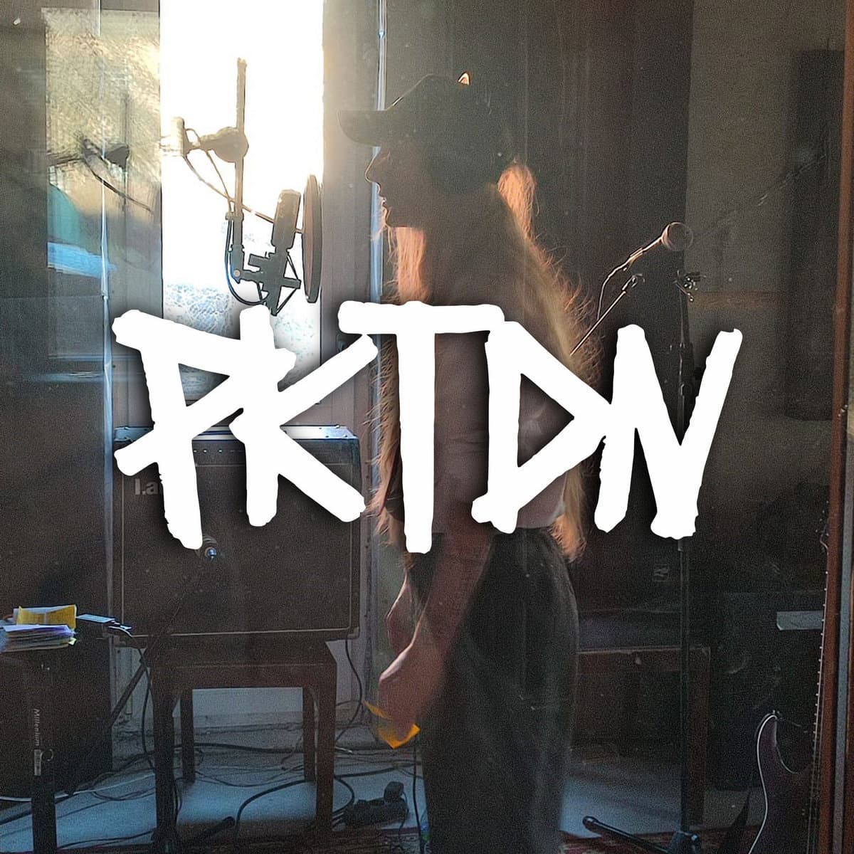 'PKTDN' Spotify profile image