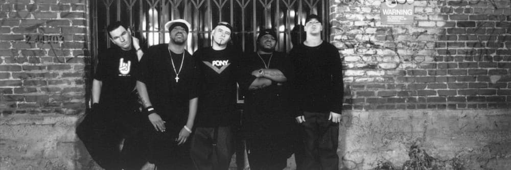 'Bionic Jive' Spotify profile image