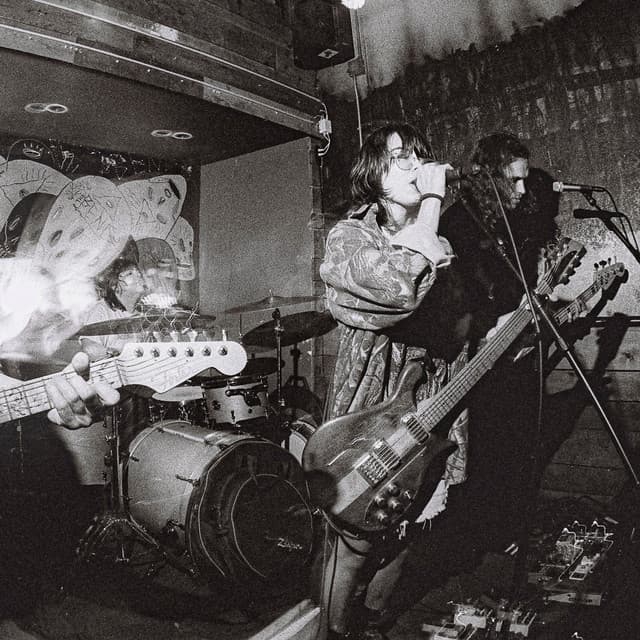 'Palomino Blond' Spotify profile image