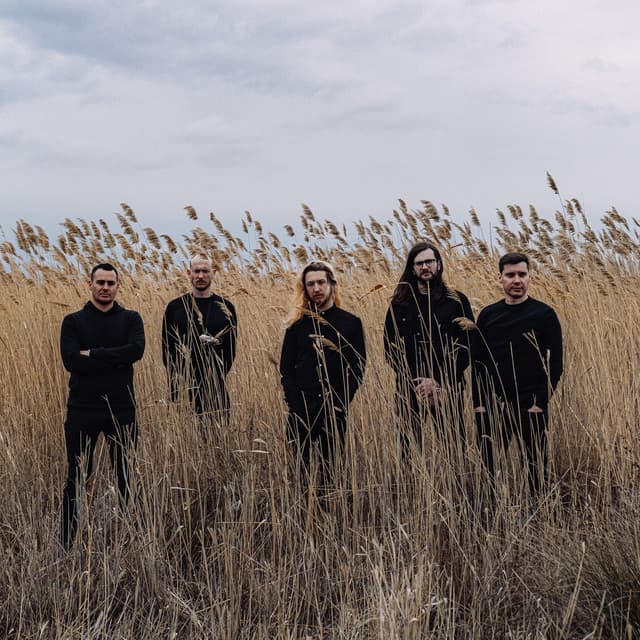 'White Ward' Spotify profile image