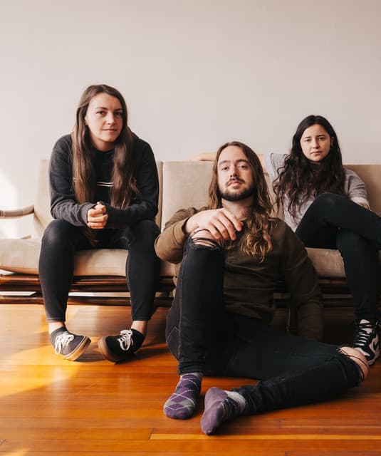 'Like Roses' Spotify profile image