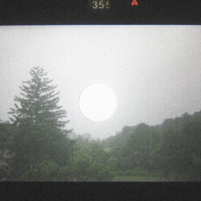 'Animal Flag' Spotify profile image