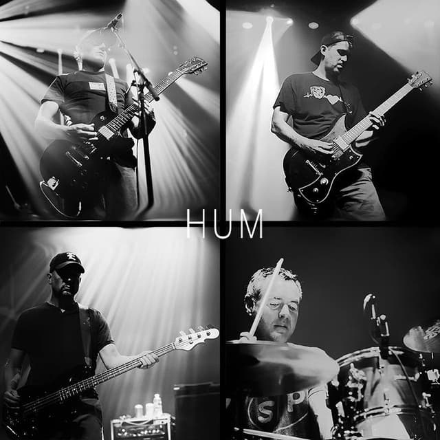 'Hum' Spotify profile image