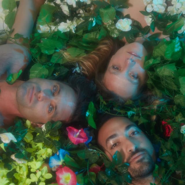 'All We Are' Spotify profile image