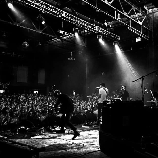 'Twin Wild' Spotify profile image