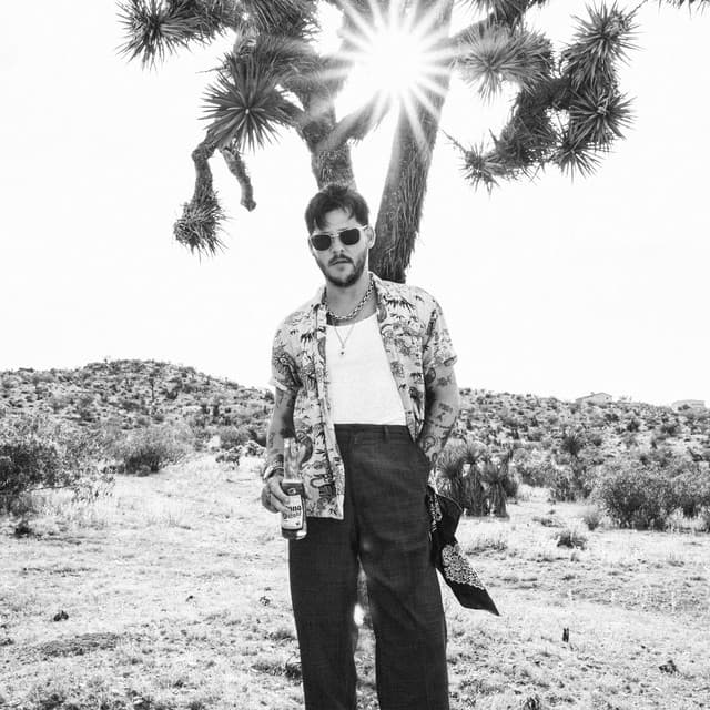 'Wavves' Spotify profile image