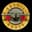 Pixelated 'Guns N' Roses' Spotify profile image