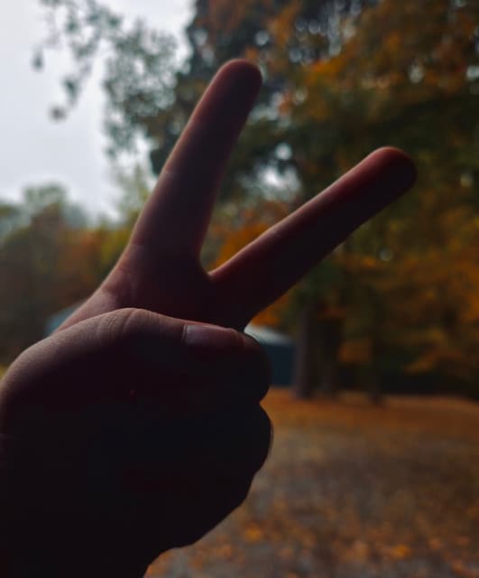 'Sunday Night Low' Spotify profile image