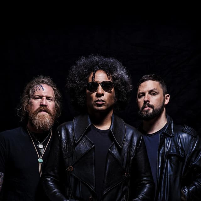 'Giraffe Tongue Orchestra' Spotify profile image