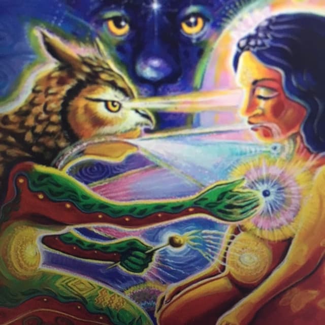 'Bear Hands' Spotify profile image