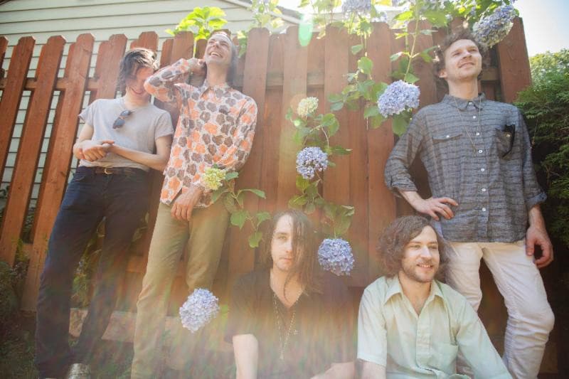 'Wampire' Spotify profile image