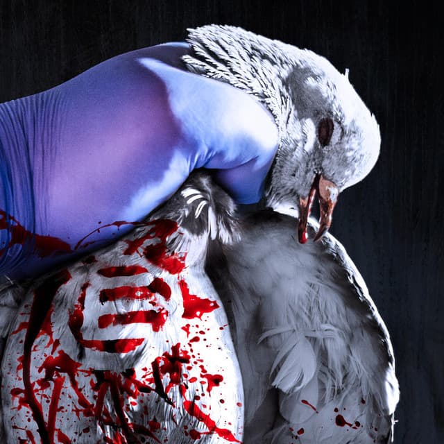 'Napalm Death' Spotify profile image