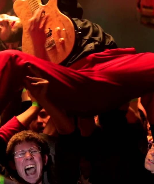 'Dog Fashion Disco' Spotify profile image