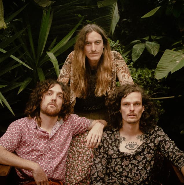 'The Tazers' Spotify profile image