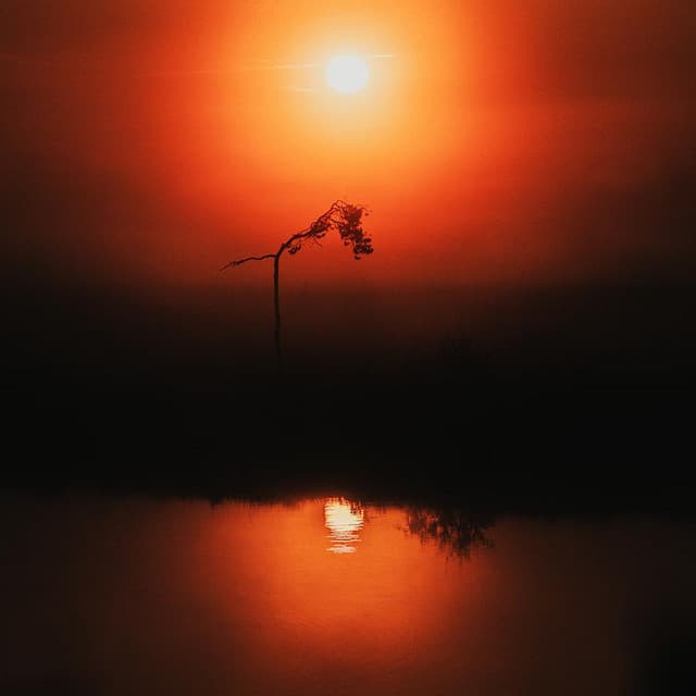 'Urne' Spotify profile image