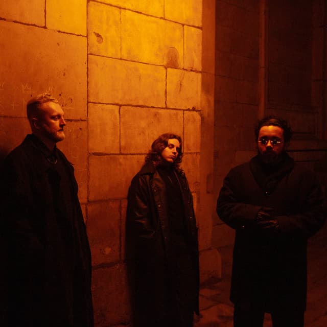 'Love Is Noise' Spotify profile image